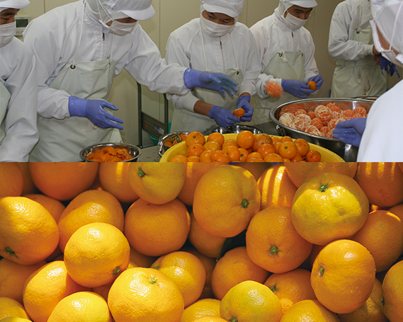 貉伜漉縺ソ縺九s繧ク繝・繝シ繧ケ繧サ繝繝8譛ャ蜈・繧 No.028