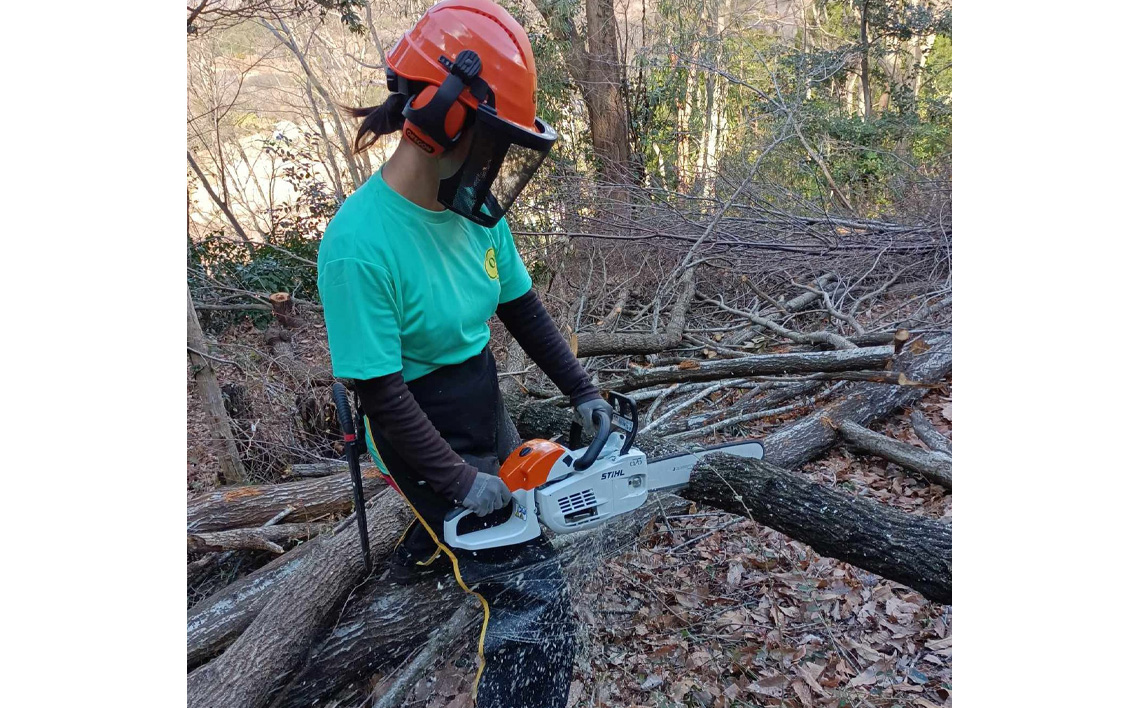 原木生しいたけ No.081