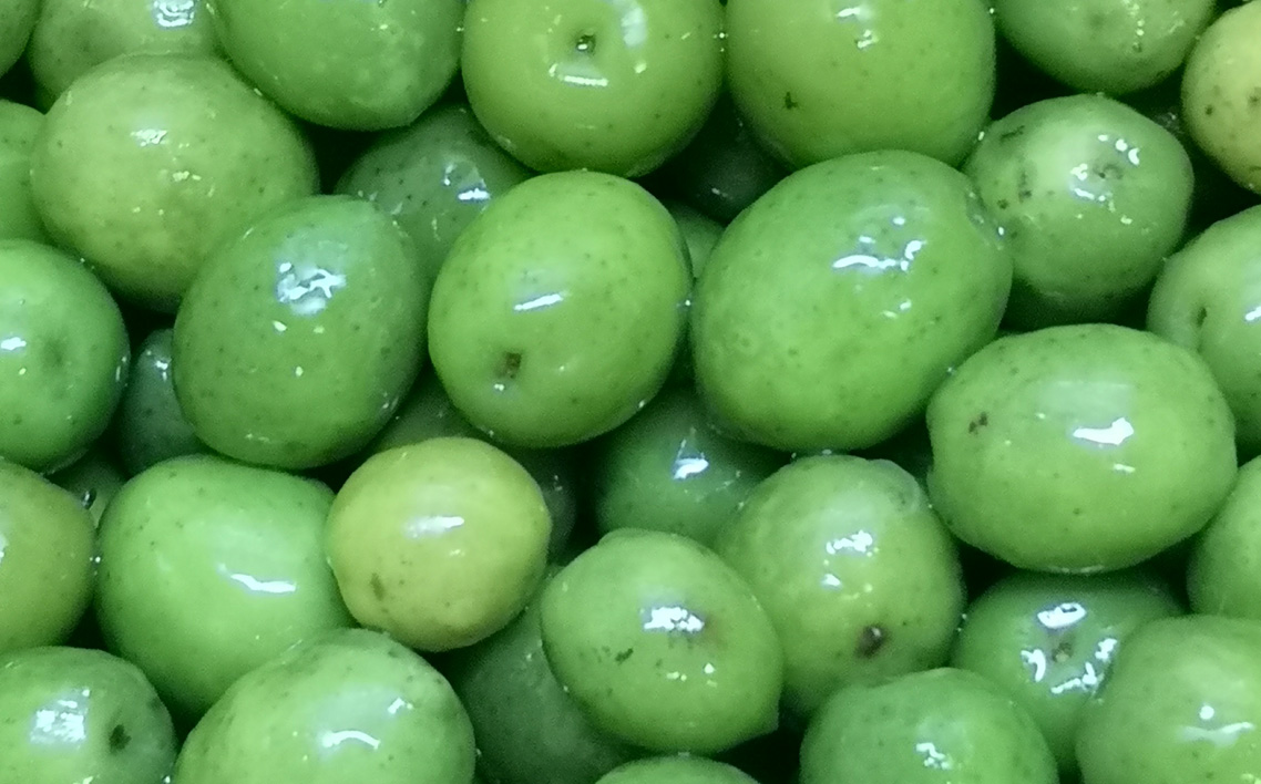 湘南新漬オリーブ No.100