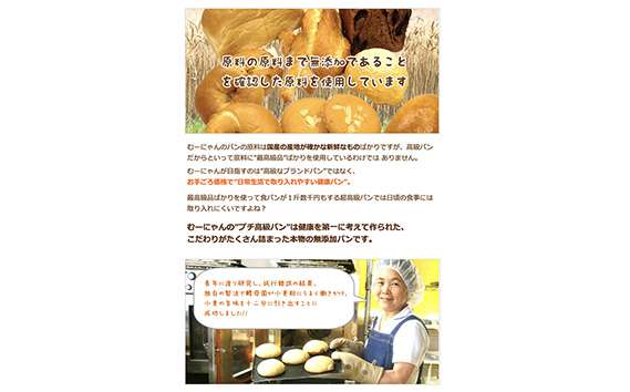 国産小麦使用 無添加 全粒粉減塩パン 冷凍 2本セット No.054