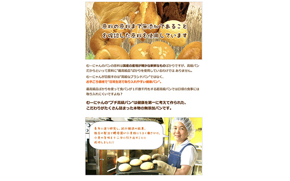 無添加 おまかせ冷凍パン 福箱 25〜30個入 詰め合わせセット No.060