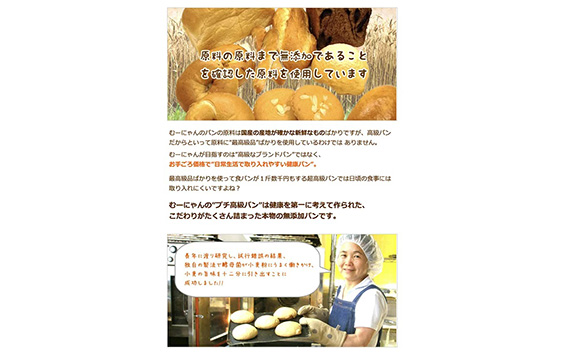 無添加 バターロール パン 冷凍 30個入り No.056