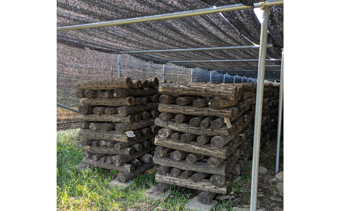 原木生しいたけ No.081