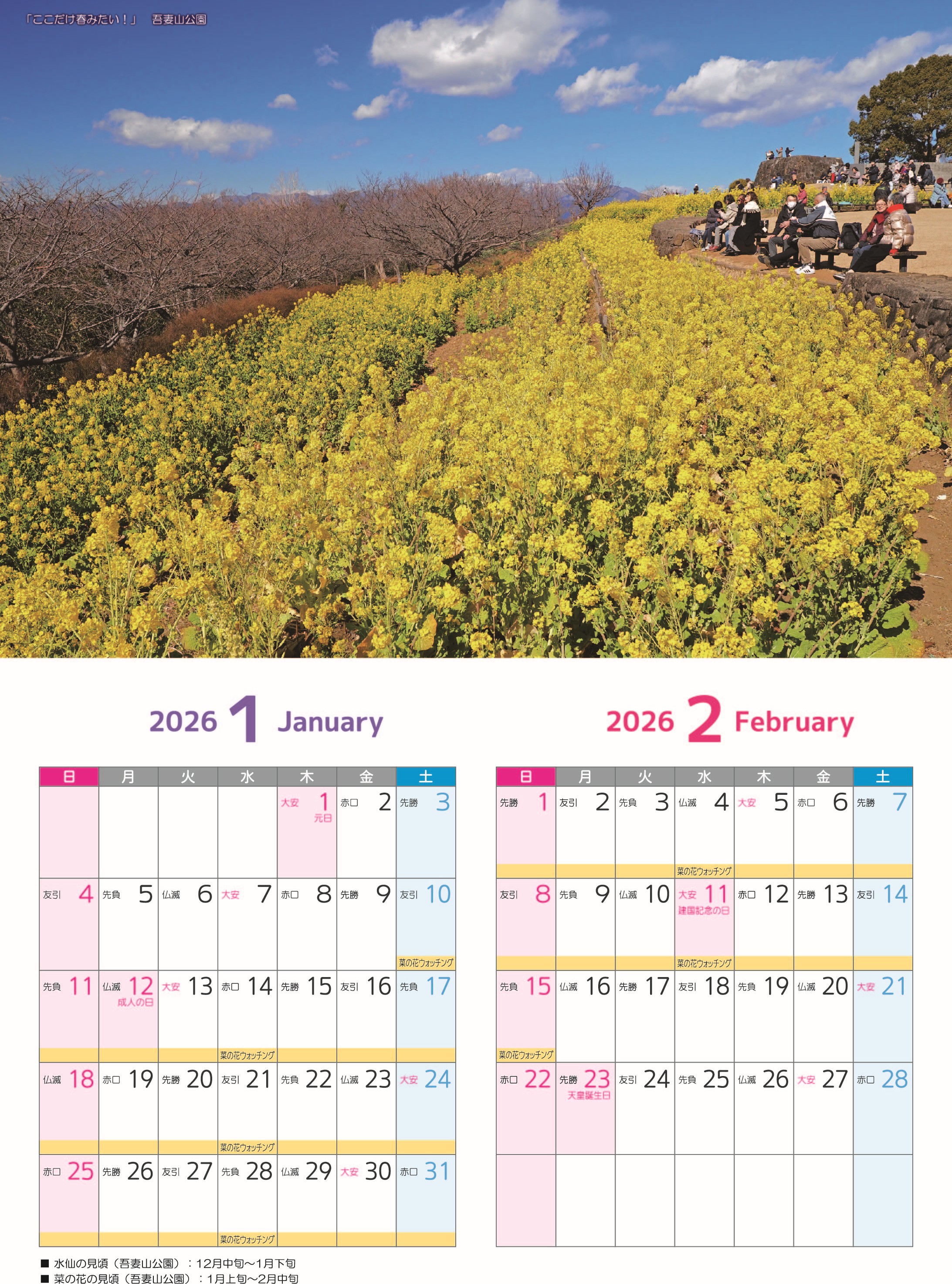 縺ォ縺ョ縺ソ繧隕ウ蜈峨き繝ャ繝ウ繝繝シ No.080