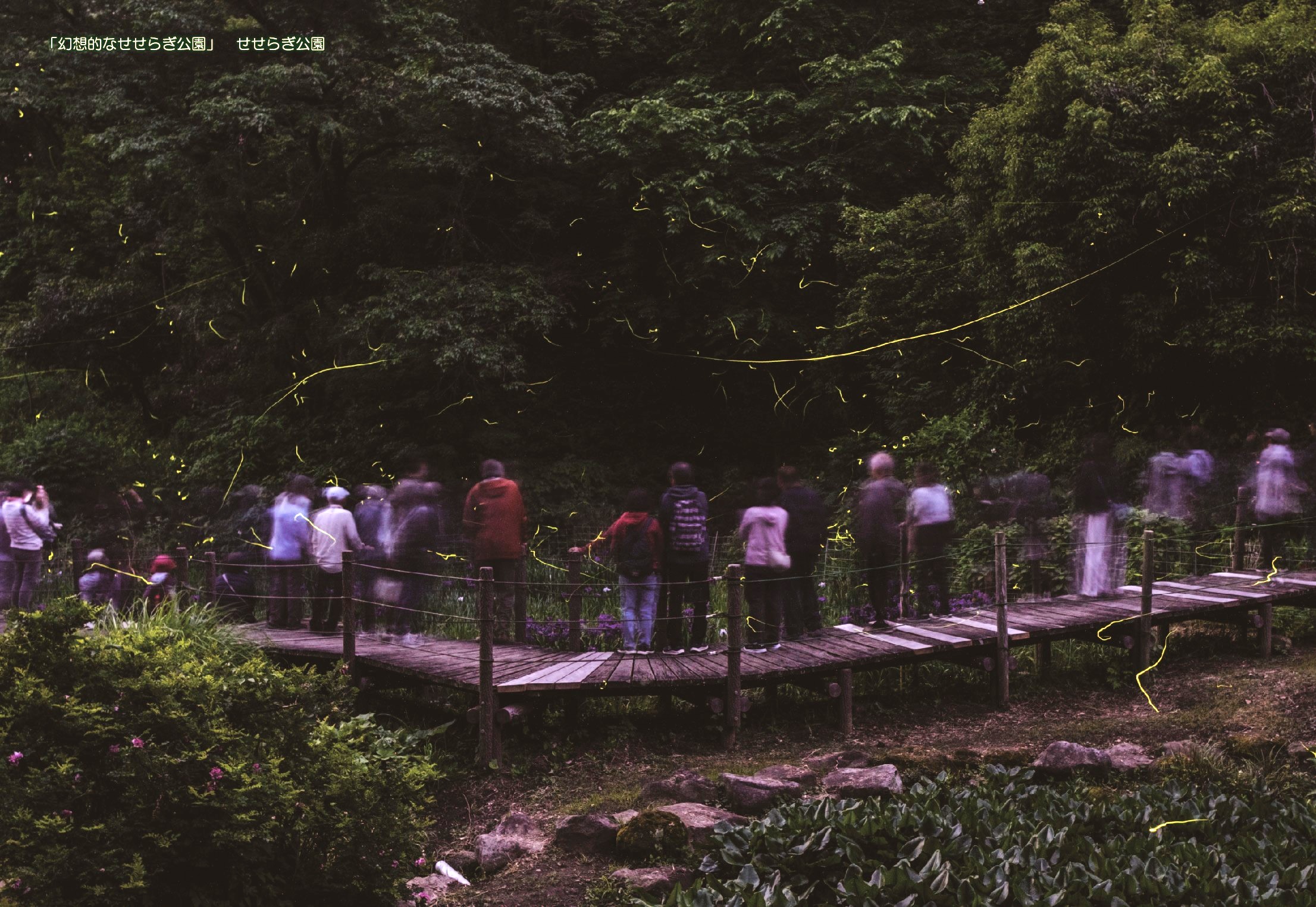 縺ォ縺ョ縺ソ繧隕ウ蜈峨き繝ャ繝ウ繝繝シ No.080