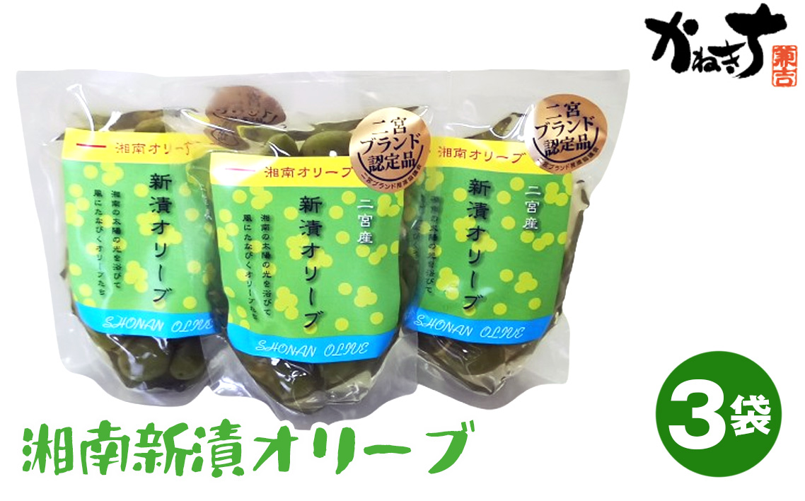 湘南新漬オリーブ No.100