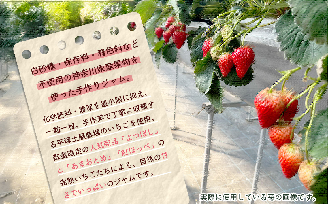 いちごジャム100g×2個 No.083