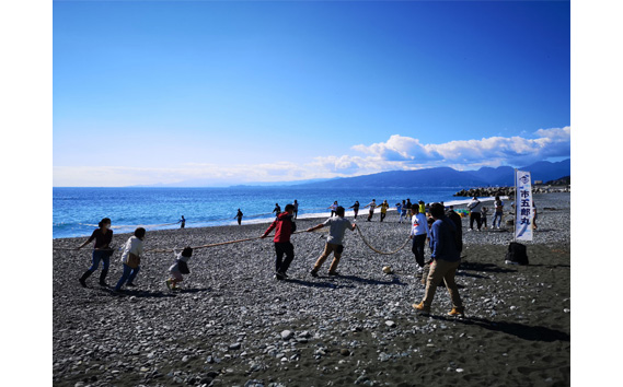 【湘南地引網 市五郎丸】地引網体験チケット（袖が浦海岸） No.052