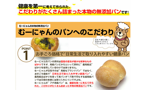 無添加 おまかせ冷凍パン 福箱 25〜30個入 詰め合わせセット No.060