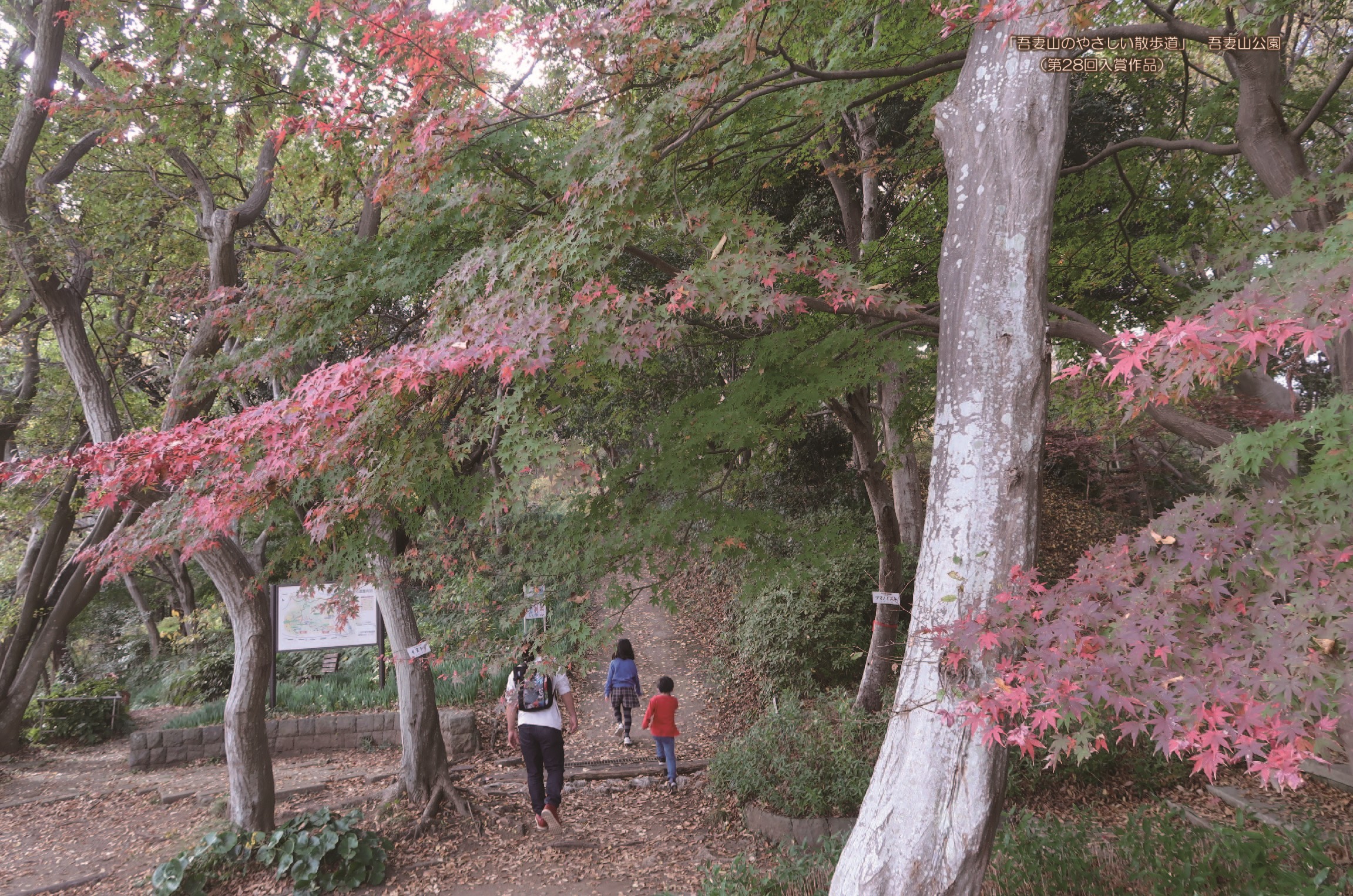 縺ォ縺ョ縺ソ繧隕ウ蜈峨き繝ャ繝ウ繝繝シ No.080