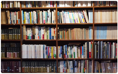 図書館の図書等の整備事業