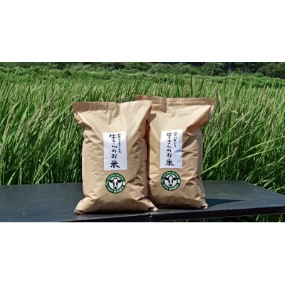 令和7年産「牛さんのお米」はるみ　6kg(3kg×2袋)【1350016】