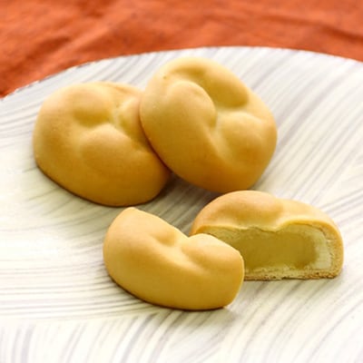 神奈川県指定銘菓詰め合わせ(羊羹・御炭山最中・獅子舞)【配送不可地域：離島】【1004743】