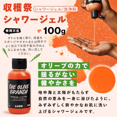 LUSH ラッシュ オール ザ ベスト ギフト　ボディケア 4個セット【配送不可地域：離島】【1283404】