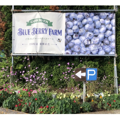 ãããããã«ãŒããªãŒãã¡ãŒã ã®é£ã¹æŸé¡ãã±ãã(äžåŠç以äž2æ)ã1707689ã