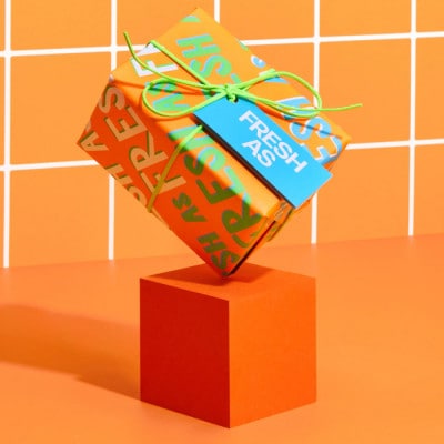 LUSH (ラッシュ) フレッシュアズギフト シャワー2種セット【1731834】