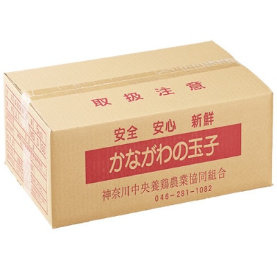 相模の赤玉子約5kg　75個+割れ保証5個　〜 神奈川県 愛川町 〜【配送不可地域：離島】【1745588】