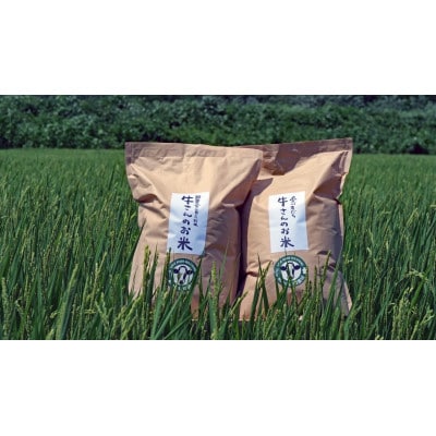 令和7年産「牛さんのお米」はるみ　10kg(5kg×2袋)【1350013】