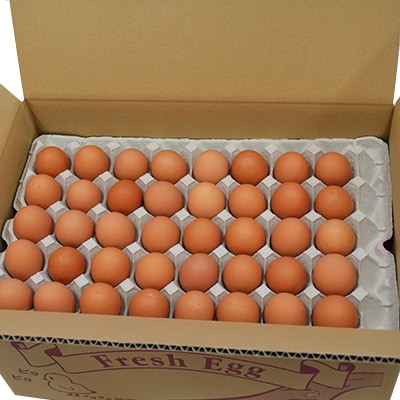 【愛川ブランド】お米たまご10kg　140個+割れ保証10個前後ニ計150個前後【配送不可地域：離島】【1052307】