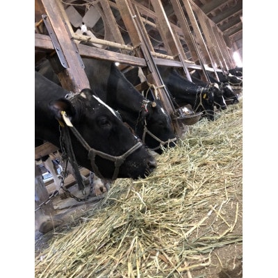 什å7幎ç£ãçããã®ãç±³ãã¯ãã¿ã10kg(5kgÃ2è¢)ã1350013ã