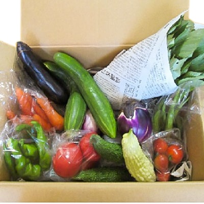 【愛川ブランド】自然農法の「季節のおまかせ野菜セット」【配送不可地域：離島・沖縄県】【1004445】