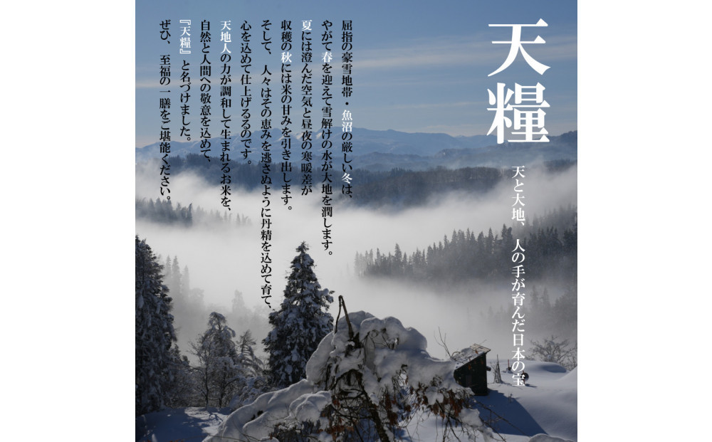 縲仙ョ壽悄萓ソ6蝗槭台サ、蜥7蟷エ逕」 譁ー貎溽恁 鬲壽イシ逕」 辟。豢礼アウ 繧ウ繧キ繝偵き繝ェ2kg 邊セ邀ウ 荳遲臥アウ 螟ゥ邉ァ