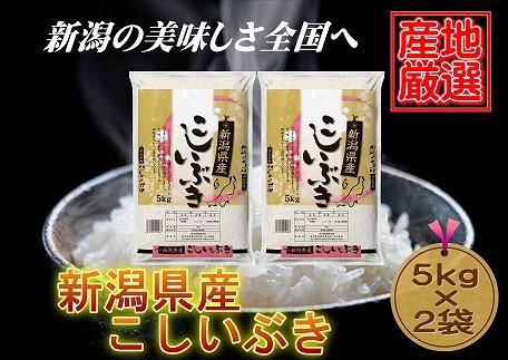【産地厳選】新潟県産こしいぶき　5kg×2袋