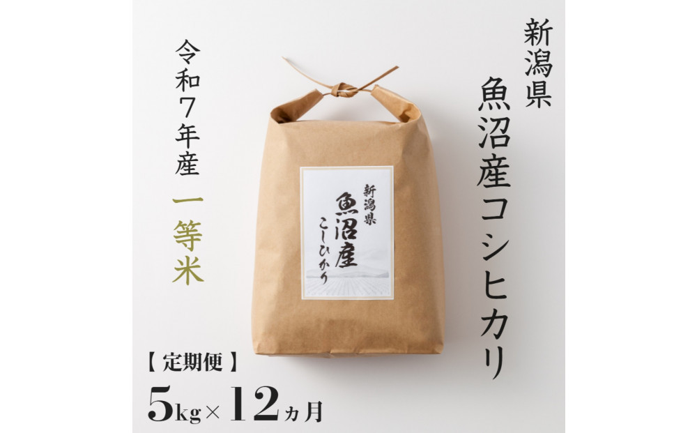 《 令和7年産  》 定期便 5kg × 12ヶ月 魚沼産コシヒカリ 一等米