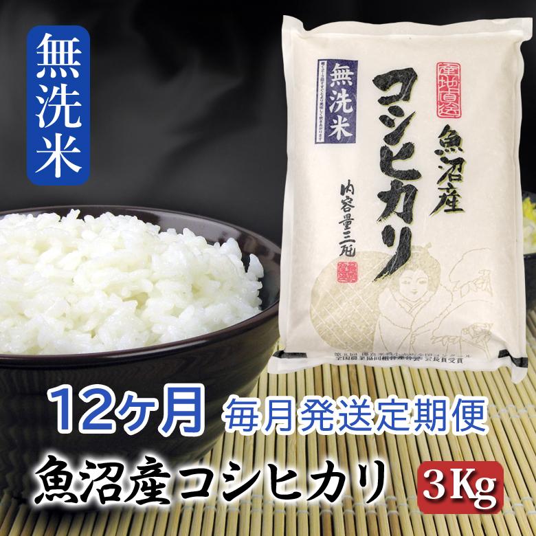 【令和6年産無洗米】お米マイスター厳選！魚沼産コシヒカリ　３kg×12ヶ月毎月発送　定期便