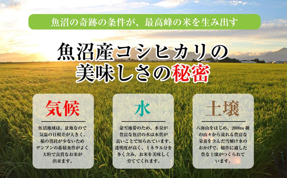 新潟県 魚沼産 コシヒカリ お米 5kg ＆ こしひかり パックごはん 5パックセット （お米の美味しい炊き方ガイド付き）