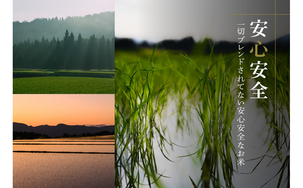 【令和8年産 コシヒカリ 先行予約】【定期便 12ヶ月】魚沼産コシヒカリ 雪椿 10kg(5kg×2袋) × 12回 特別栽培米