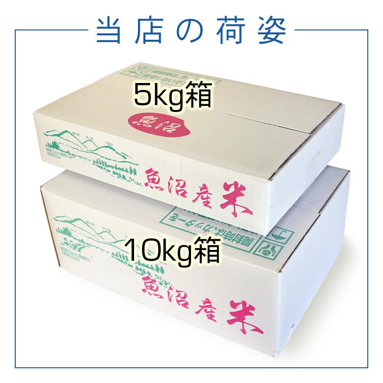 【令和6年産無洗米】お米マイスター厳選！魚沼産コシヒカリ５kg