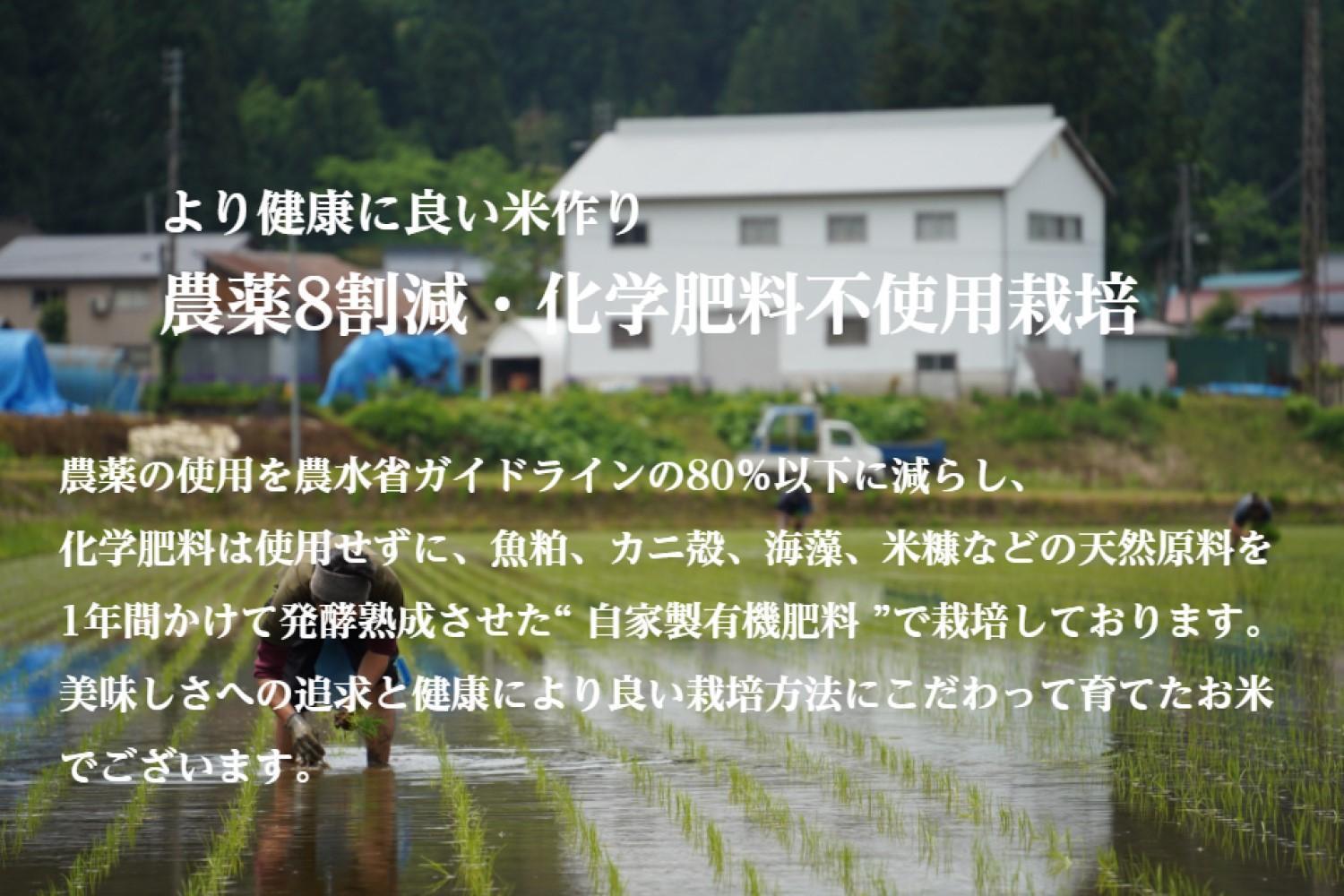 ≪ 令和6年産 新米 ≫ 最高金賞受賞 南魚沼産コシヒカリ 雪と技 2kg (1kg×2袋)　農薬8割減・化学肥料不使用栽培