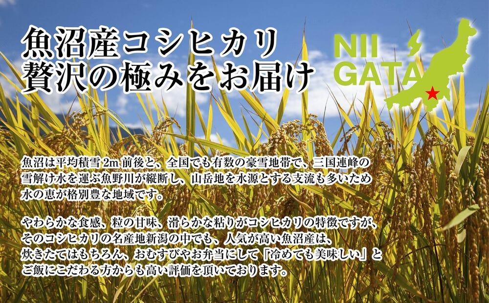 DH06 「無洗米」 新潟県 魚沼産 コシヒカリ お米 20kg こしひかり 精米 米（お米の美味しい炊き方ガイド付き）