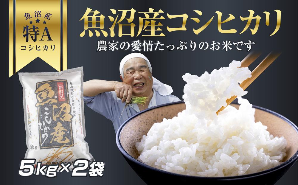 DH03 新潟県 魚沼産 コシヒカリ お米 10kg こしひかり 精米 米（お米の美味しい炊き方ガイド付き）