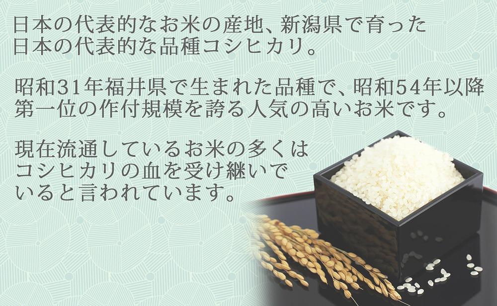 【定期便全6回】無洗米新潟県産コシヒカリ10kg
