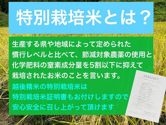 【12か月定期便】新潟県旧中郷村減農薬特別栽培米コシヒカリ 10kg（5kg×2袋）