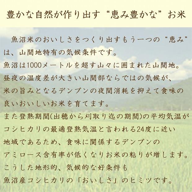 【定期便全12回】新潟県魚沼産コシヒカリ10kg