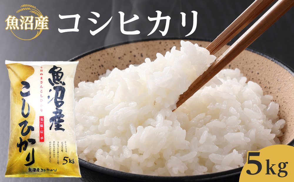 魚沼産コシヒカリ　5kg　2024年10月〜発送開始｜新潟県　魚沼　こしひかり　令和6年産