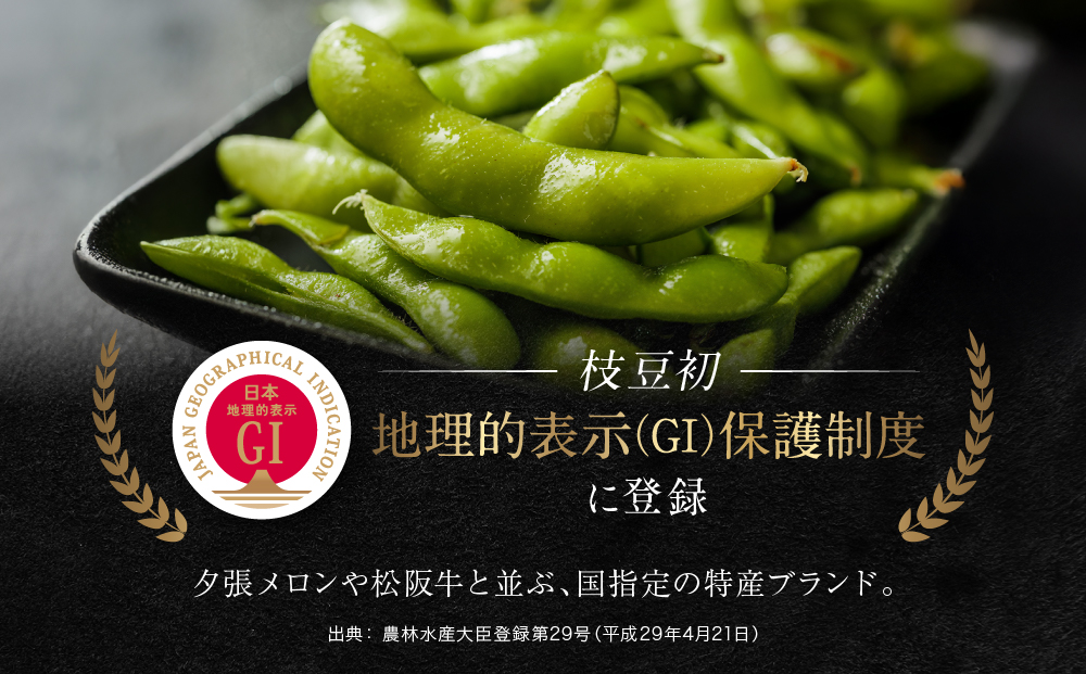 先行予約【新潟県産】くろさき茶豆　【１.５ｋｇ】　2026年8月～順次発送　新潟　新潟県　枝豆　えだまめ　茶豆　おつまみ　お取り寄せ　グルメ　1.5kg　豆