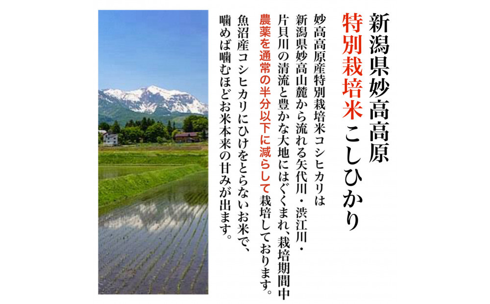 【令和8年産新米 定期便・先行予約】新潟県妙高高原減農薬特別栽培米  真空パック 900g×6袋　全12回