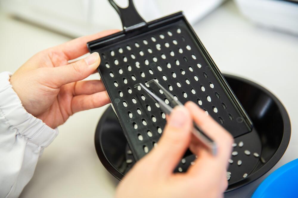 縲仙ョ壽悄萓ソシ壼ィ6蝗槭♀螻翫¢縲代千┌豢礼アウ蜷溽イセ縲代譁ー貎溽恁逕」繧ウ繧キ繝偵き繝ェ10Kgシ5kgテ2シ