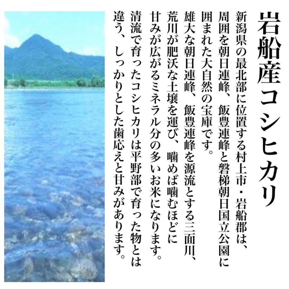 【令和6年度産新米】新潟県産コシヒカリ そんまんま真空パック 食べ比べセット 900g×5種