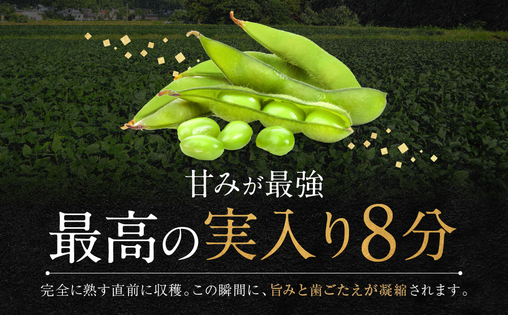 先行予約【新潟県産】くろさき茶豆　【１.５ｋｇ】　2026年8月～順次発送　新潟　新潟県　枝豆　えだまめ　茶豆　おつまみ　お取り寄せ　グルメ　1.5kg　豆