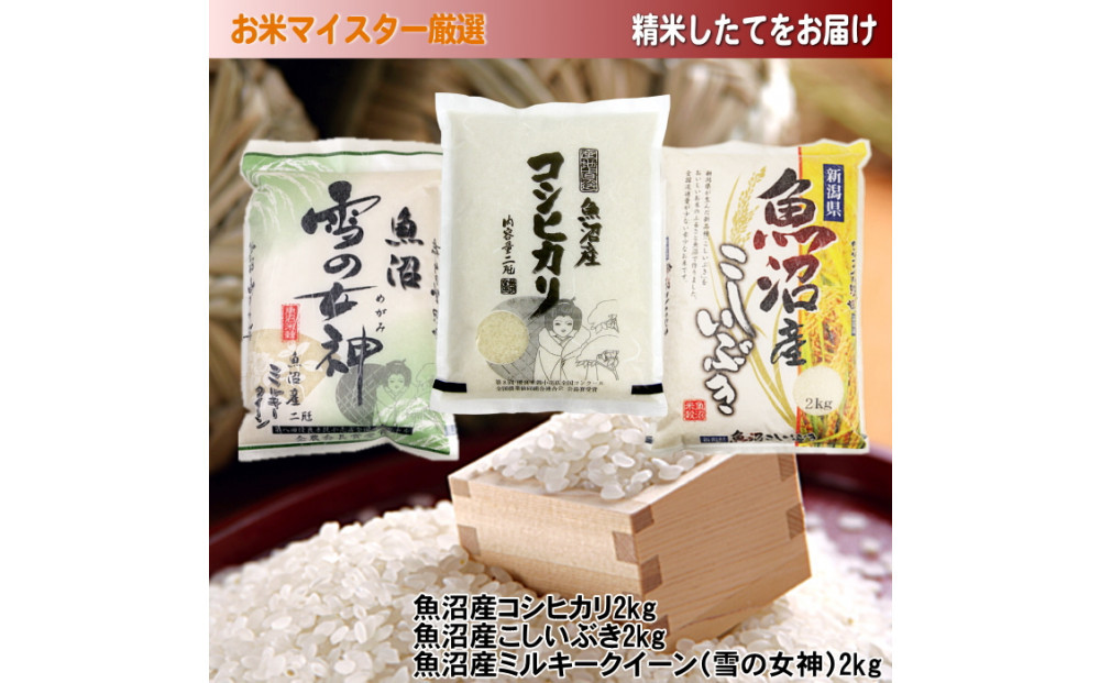 【令和7年産新米予約】魚沼産米こだわりの3品種食べ比べセット 6kg(2kg×3) 2025年10月上旬発送開始予定 新潟県 新潟 米 魚沼 魚沼産 コシヒカリ こしひかり こしいぶき ミルキークイーン
