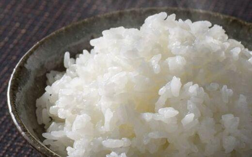 【新米】令和７年産「五つ星お米マイスター」厳選天日干し魚沼産コシヒカリ精米10kg（5kg×2個）