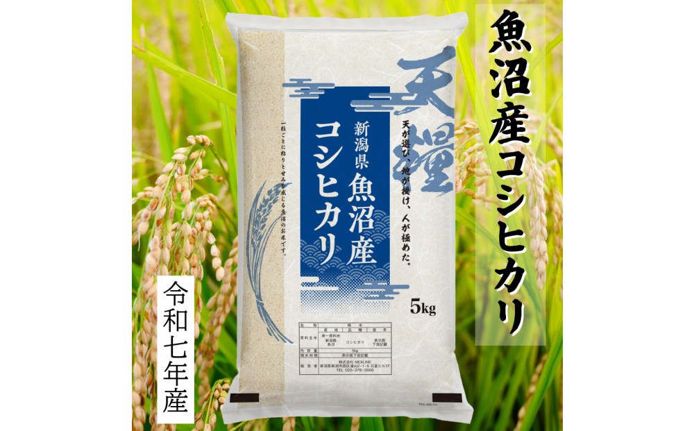 莉、蜥7蟷エ逕」 譁ー貎溽恁 鬲壽イシ逕」 辟。豢礼アウ 繧ウ繧キ繝偵き繝ェ5kg 邊セ邀ウ 荳遲臥アウ 螟ゥ邉ァ