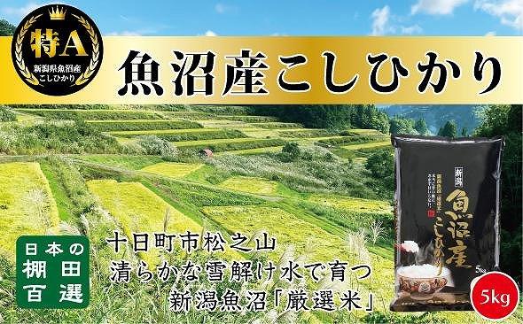 食味鑑定士が選ぶ　日本棚田百選のお米　天空の里・魚沼産こしひかり　５kg×１