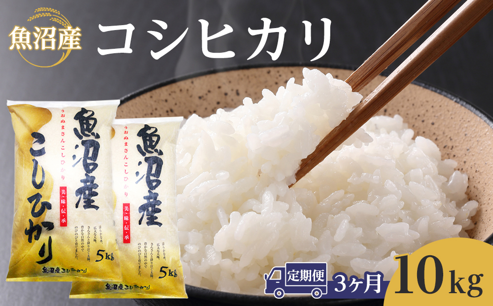 【3ヶ月定期便】魚沼産コシヒカリ　10kg　2024年10月～発送開始｜新潟県　魚沼　こしひかり　令和6年産