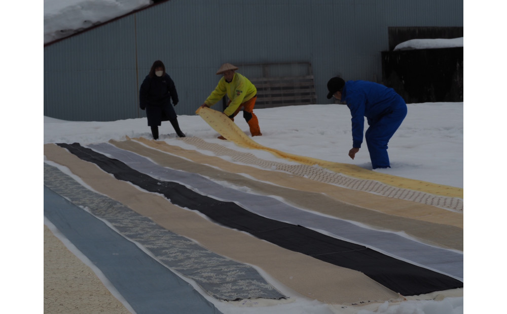 麻ç¹ç©ã®éªæããšä»ç«ãŠçŽã